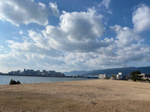 香櫨園浜からの景色